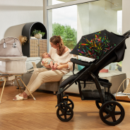 Lionelo Annet Plus Green Forest — Stroller