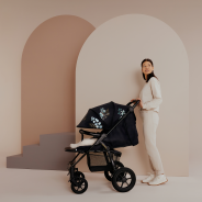 Lionelo Annet Tour Golden Moments — Stroller