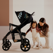 Lionelo Annet Plus Golden Moments — Stroller