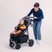 Lionelo Natt Grey Stone — Stroller