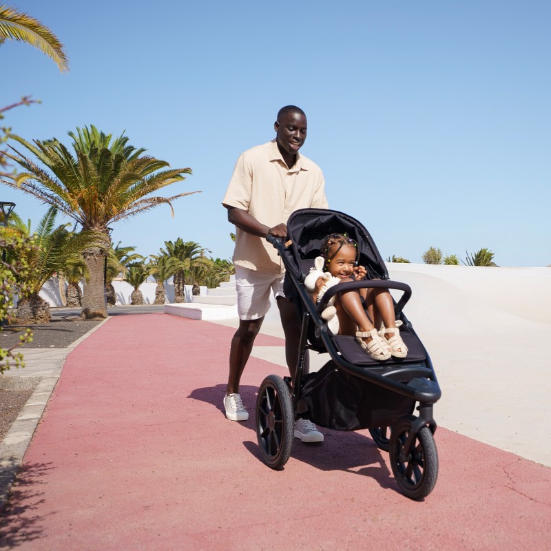 Lionelo Azura Grey Stone — Stroller