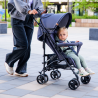 Lionelo Elia Oslo — Stroller