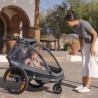 Lionelo Cama Grey Stone — bicycle trailer with stroller function