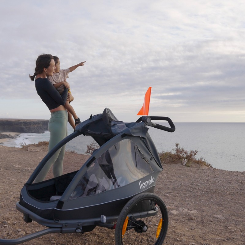 Lionelo Cama Grey Stone — bicycle trailer with stroller function