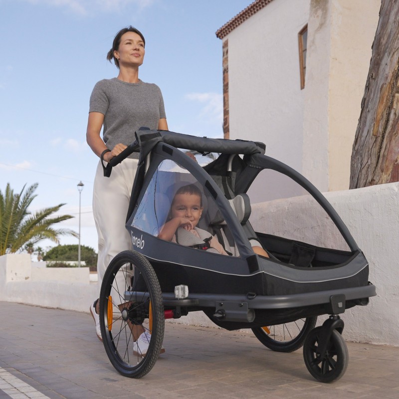 Lionelo Cama Grey Stone — bicycle trailer with stroller function